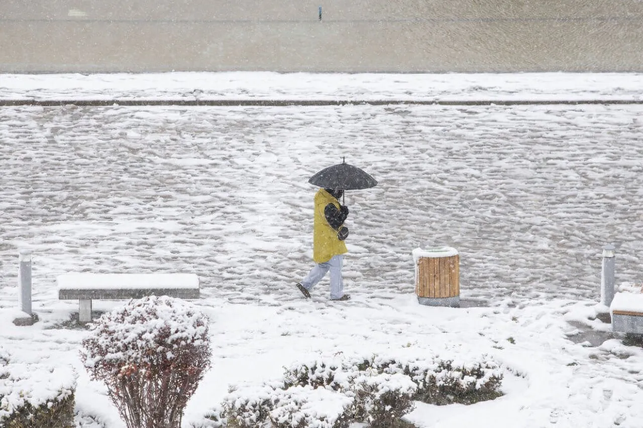 این استان‌ها از فردا منتظر یخبندان واقعی باشند!
