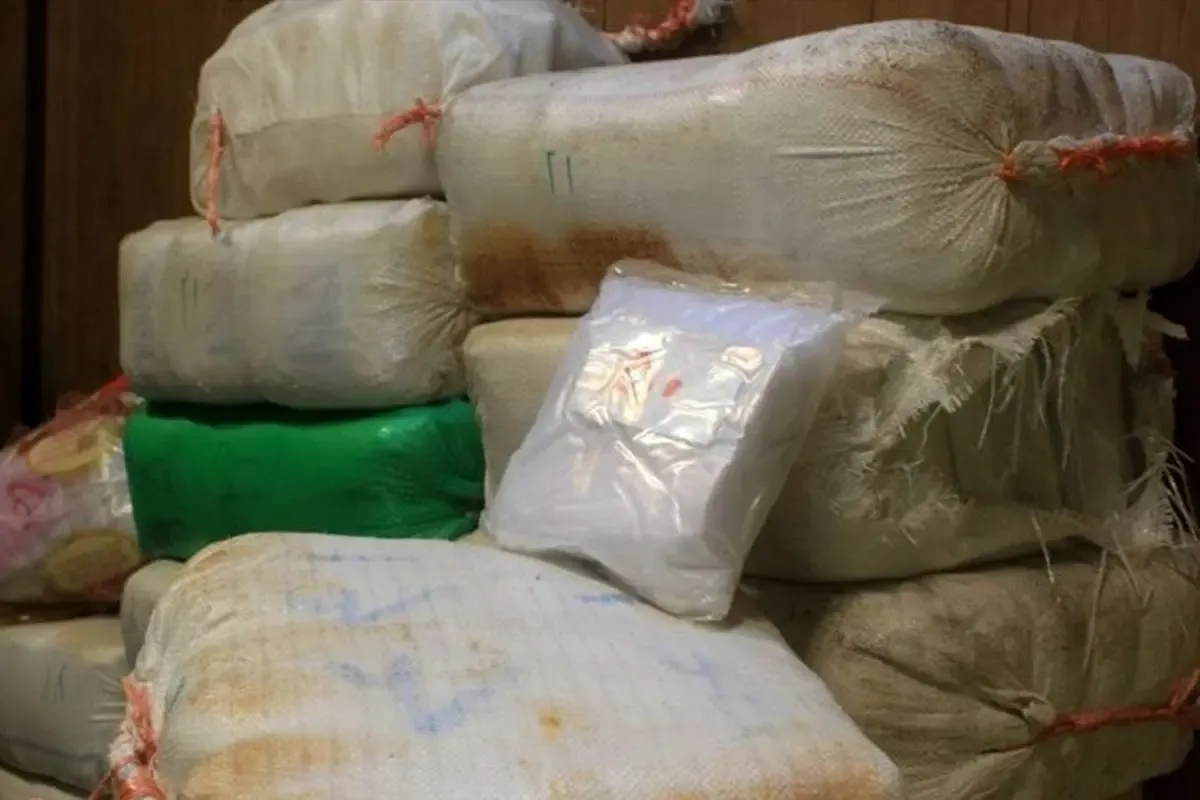 «دیوانه کویر» به هلاکت رسید