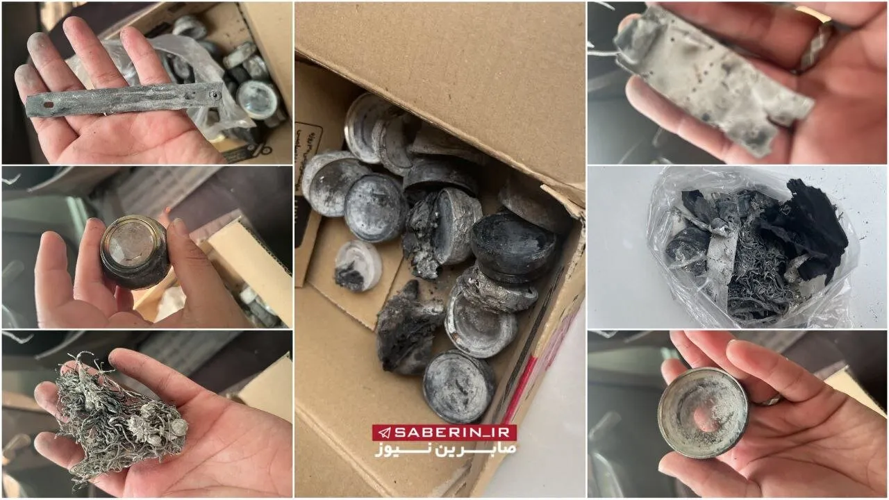 عکس | کشف قطعات ریزپرنده از قاچاقچیان در استان بوشهر | یک مامور پلیس به شهادت رسید