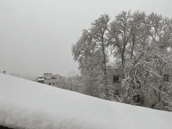 بارش‌های سنگین در پایتخت/ شهرداری منطقه یک: تا ۲۰ سانتی‌متر برف باریده است / آماده‌باش کامل نیرو‌ها در تهران