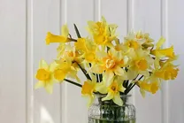 اعمال شب و روز نیمه شعبان + متن دعا | نماز شب نیمه شعبان چگونه خوانده می‌شود؟