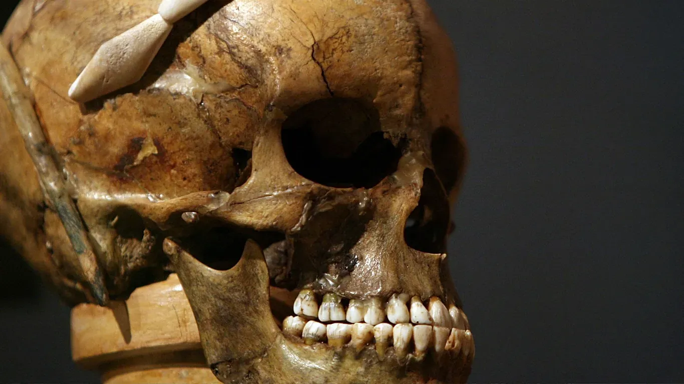 فرانسه سر بریده شده پادشاه را پس از ۱۲۸ سال به ماداگاسکار بازگرداند