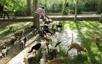 (عکس) وضعیت عجیب پارک هنرمندان تهران