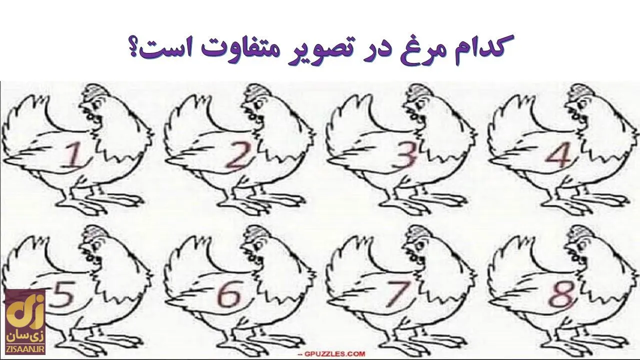 معما با جواب: مرغ متفاوت در این تصویر را زیر ۳۰ ثانیه پیدا کنید؟