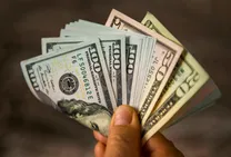 فروش ۱۰۰۰ دلار اسکناس ارز در شعب ۳ بانک از امروز