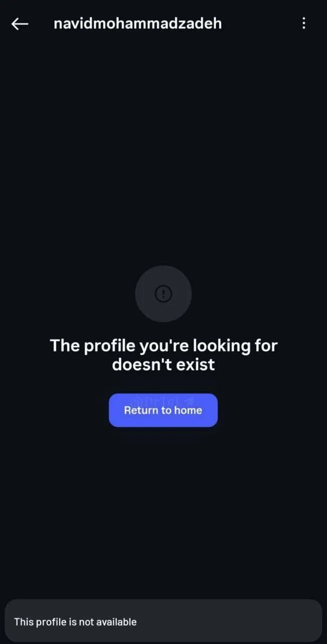 نوید محمدزاده به سیم آخر شد؛ خداحافظ!