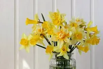 اعمال شب و روز نیمه شعبان + متن دعا | نماز شب نیمه شعبان چگونه خوانده می‌شود؟