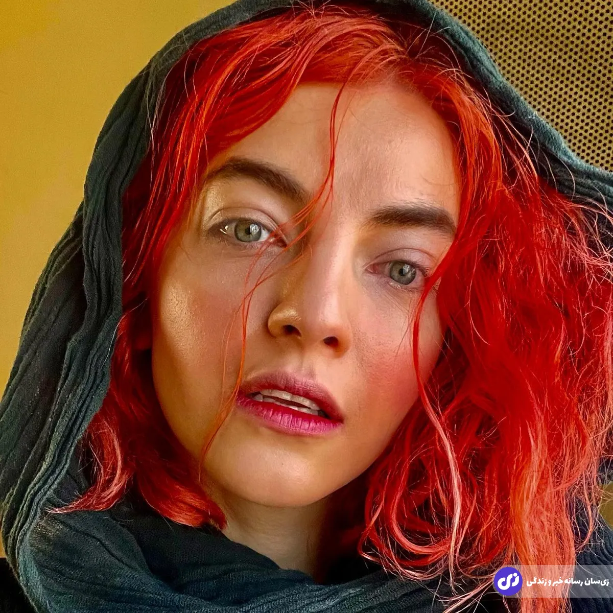 آیدا ماهیانی آیدا ماهیانی