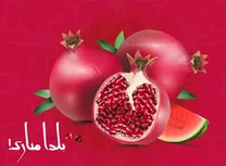 تبریک شب یلدا ۱۴۰۴ به دوست، همسر و تبریک رسمی شب یلدا به همکار و استاد/ زیباترین متن‌های تبریک شب یلدا ۱۴۰۴