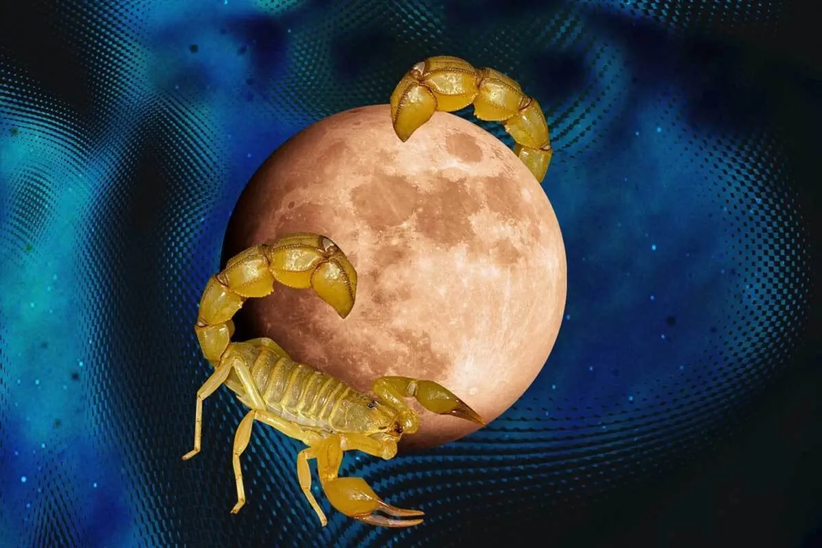 زمان ورود و خروج قمر در عقرب؛ روز‌های قمر در عقرب آذر ۱۴۰۴ چه روزی است؟