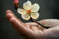 لحظه تحویل سال ۱۴۰۵