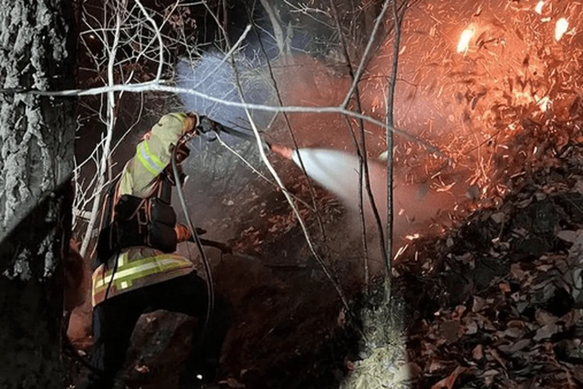 سقوط جنگنده