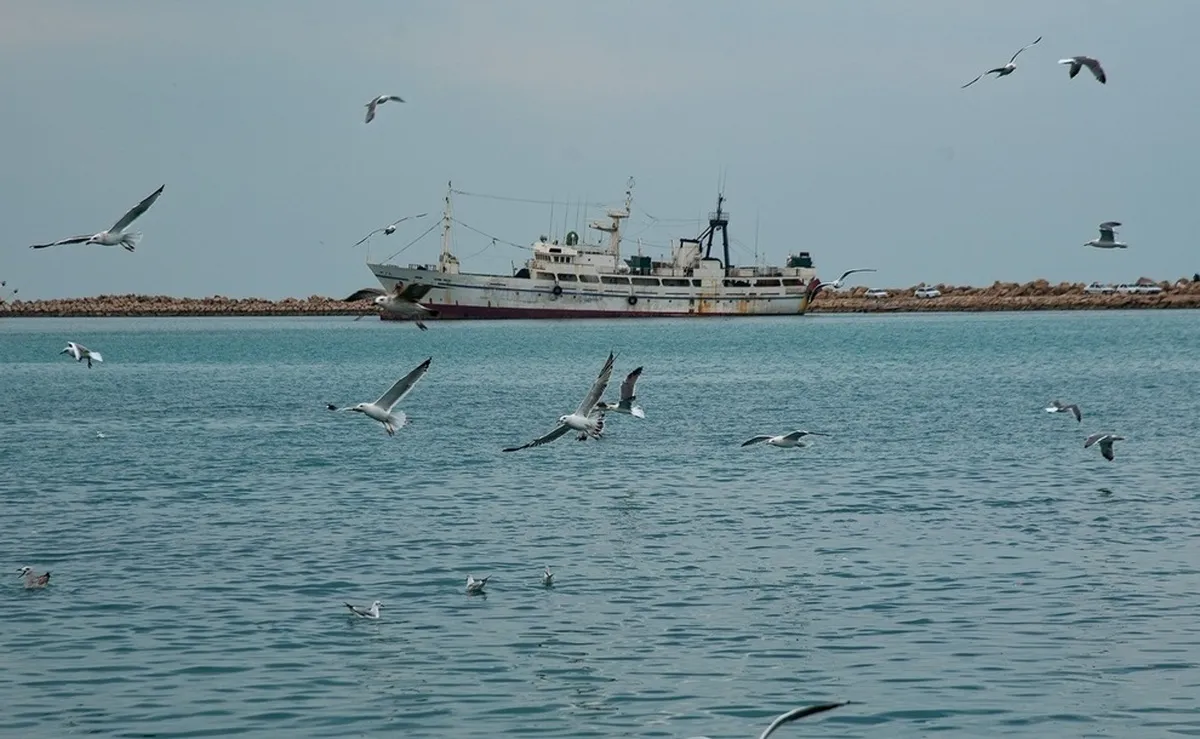 هواشناسی بوشهر امروز سه‌شنبه 25 آذر 1404؛ تداوم بارش‌های سیل آسیا و رکوردشکنی در عسلویه