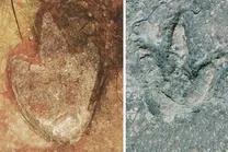 کشف ردپای فسیلی مشابه در دو سوی اقیانوس؛ دایناسور‌ها از طریق یک «بزرگراه باستانی» در ارتباط بوده‌اند