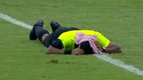 (ویدئو) حملهٔ زنبور‌ها یک مسابقهٔ فوتبال را متوقف کرد!
