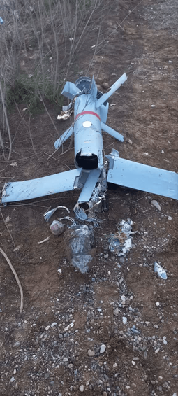 بقایای پهپاد آمریکایی که در بندرعباس سرنگون شد