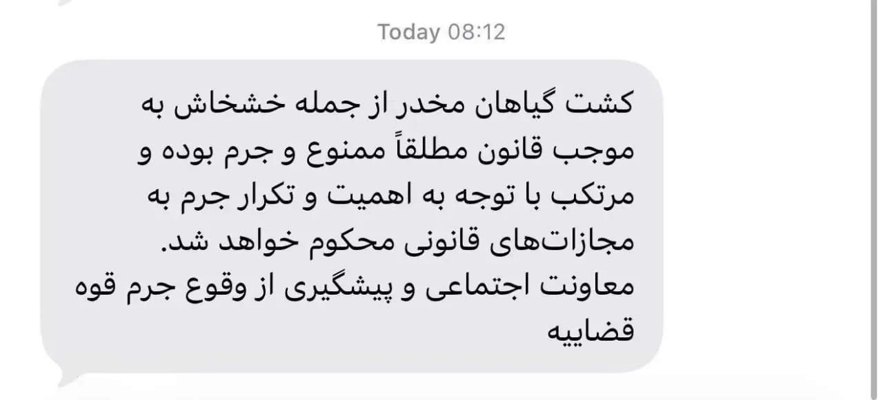 کشت خشخاش