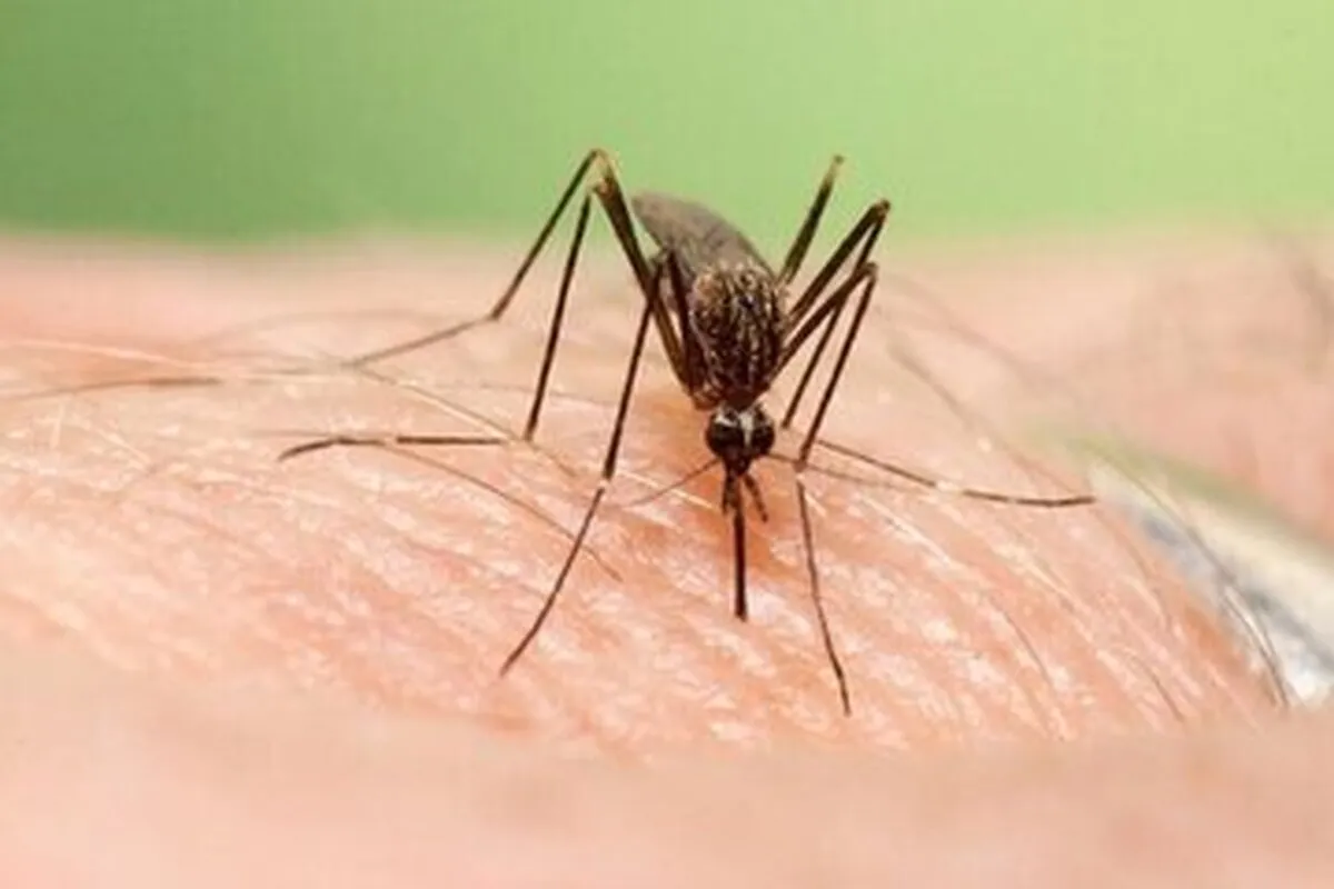 این بیماری کشنده گاهی هیچ علائمی ندارد