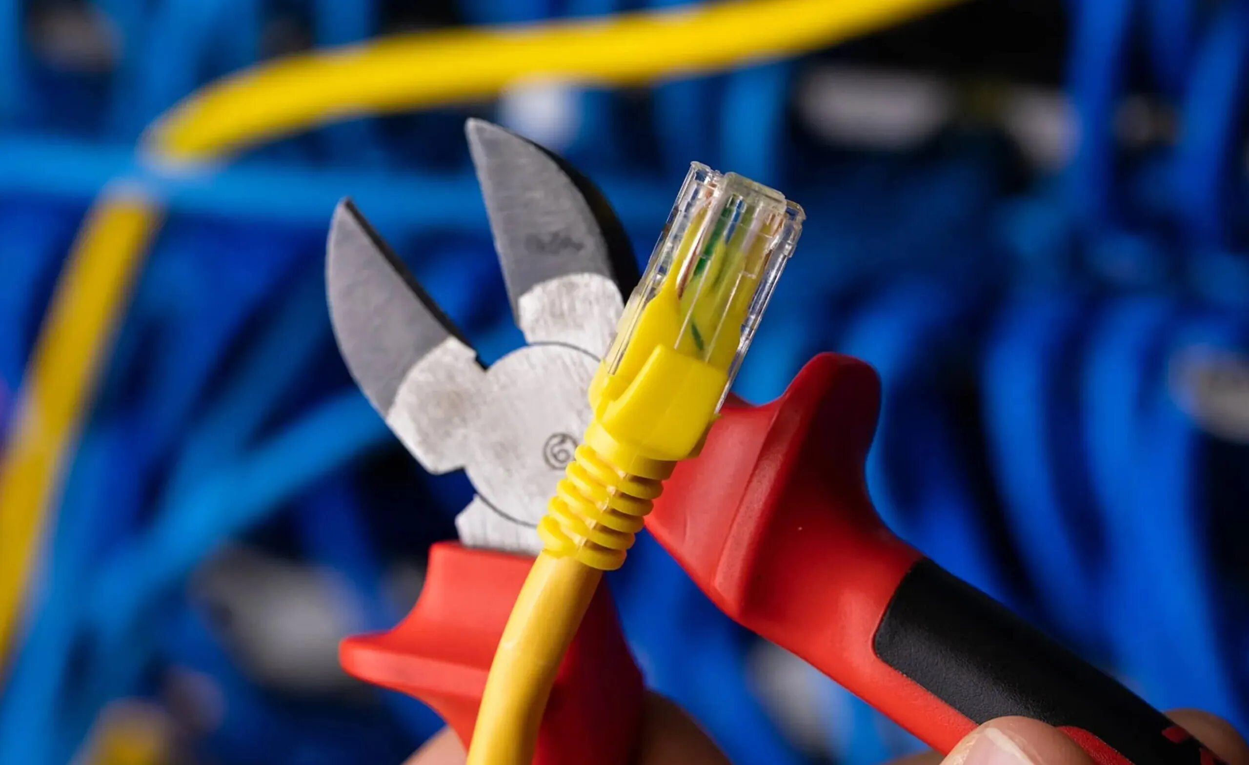 نماینده مجلس: اینترنت فردا یا حداکثر سه‌شنبه وصل می‌شود