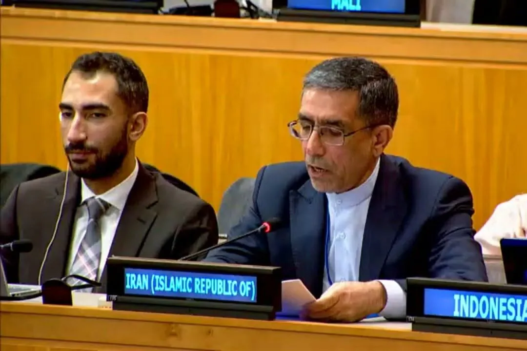 نماینده ایران در نشست شورای امنیت سازمان ملل: گروه‌های مسلح اعتراضات را ربودند