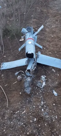 بقایای پهپاد آمریکایی که در بندرعباس سرنگون شد