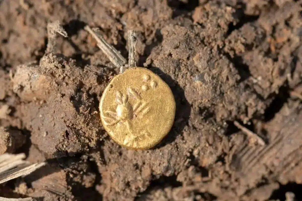 عکس | کشف سکه‌های باستانی در یک مکان غیرمنتظره!