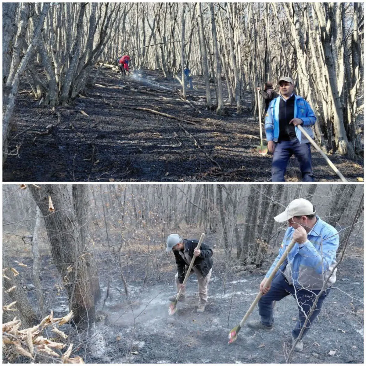 عکس یادگاری یک مسئول درحال خاموش کردن آتش جنگل؛ صادق میکائیلی کیست؟