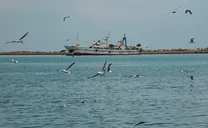 هواشناسی بوشهر امروز سه‌شنبه 25 آذر 1404؛ تداوم بارش‌های سیل آسیا و رکوردشکنی در عسلویه