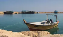 اختلاف قیمت عجیب یک محصول جوان ایرانی را میلیاردر کرد