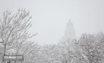(تصاویر) شدت بارش برف در پارک ملت تهران امروز ۳۰ دی ۱۴۰۴