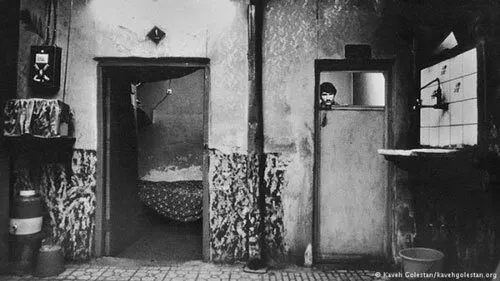 چند نفر از زنان جوان شهرنو را به کارمندان خودمان شوهر دادیم