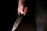 تلاش برای تجاوز به دختر جوان و سپس قتل و رها کردن جسدش در بیایان‎‌های شهرکرد توسط راننده تاکسی اینترنتی
