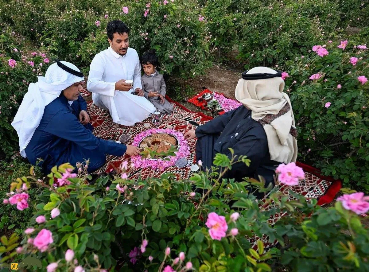 پشت پرده دزدیدن گل محمدی ایران توسط عربستان فاش شد!