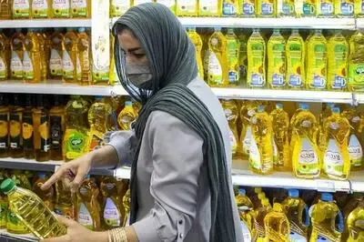 نیمرو از ایران می‌رود/ ماست و دوغ قسطی هم آمد/ زندگی در آلمان به صرفه‌تر از ایران!