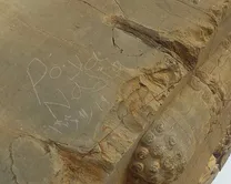 یادگارنویسی تازه در تخت جمشید؛ تخریب‌گران چگونه به دروازه ملل رسیدند؟ / مسئولان در شبکه‌های اجتماعی متوجه ماجرا شدند