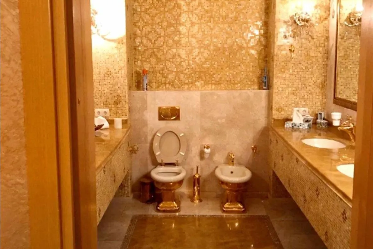 جنجال عجیب «کیسه‌های پول نقد و توالت طلایی» در قلب جنگ اوکراین