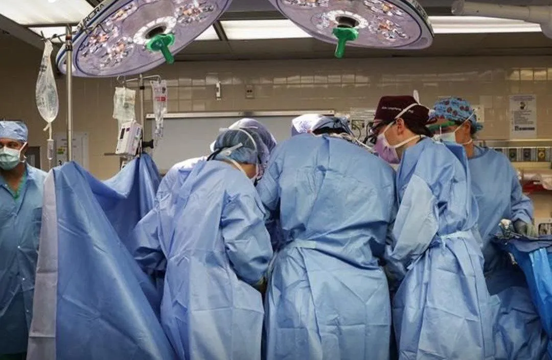 جراحان آمریکایی برای اولین بار کلیه خوک را به انسان پیوند زدند