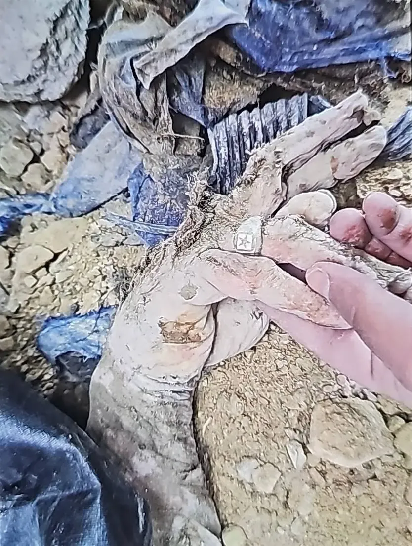 دست علی لاریجانی