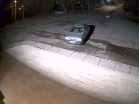 ویدئو | حمله گرگ به یک دانشجو در دانشگاه زنجان؟