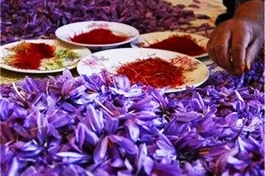 قیمت جدید زعفران اعلام شد