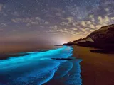 همه‌چیز درباره جزیره لارک؛ لارک کجاست، چقدر وسعت و جمعیت دارد و چرا این جزیره در تنگه هرمز مهم است؟