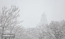 (تصاویر) شدت بارش برف در پارک ملت تهران امروز ۳۰ دی ۱۴۰۴