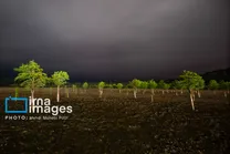 (تصاویر) دریاچه الندان در آستانه خشک شدن کامل